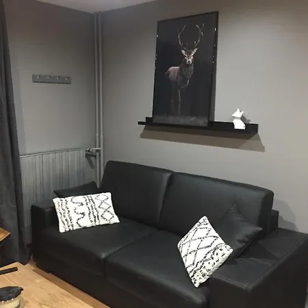 Le Paradis Du Diable 6 Pers 40m2 Pied Des Pistes Et Du Télésiège Du Diable Les Deux Alpes