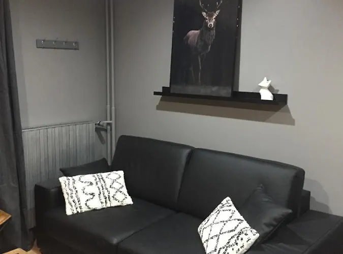 Le Paradis Du Diable 6 Pers 40m2 Pied Des Pistes Et Du Telesiege Du Diable Ле дез Альп